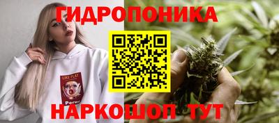 крисы Краснодар