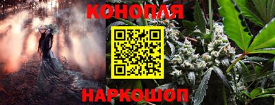 индика Краснокаменск