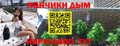 крисы Краснодар