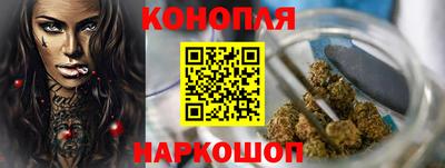 крисы Краснодар