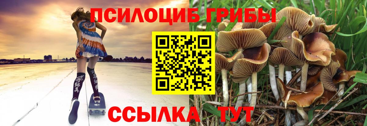 Псилоцибиновые грибы GOLDEN TEACHER Железногорск