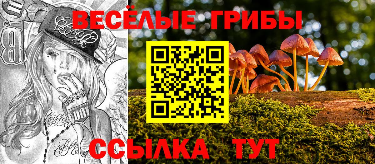 Железногорск  Галлюциногенные грибы MAGIC MUSHROOMS  Псилоцибиновые грибы Psilocybe  закладки  Вход с VPN 