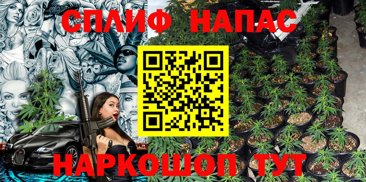 Бошки марихуана индика  Бошки марихуана ГИДРОПОН  Шишки марихуана Bruce Banner  Железногорск  Вход с VPN 